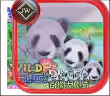 Wild Giant Panda