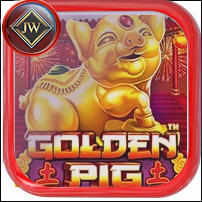 GOLDEN PIG