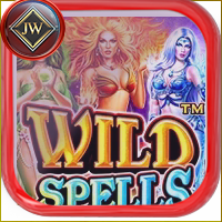 WILD SPEELS